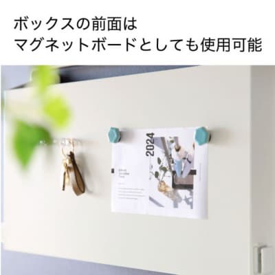 壁掛けハンガーボックス ホワイト SE-250 日本製 燕三条 玄関収納 川口工器【028S051】