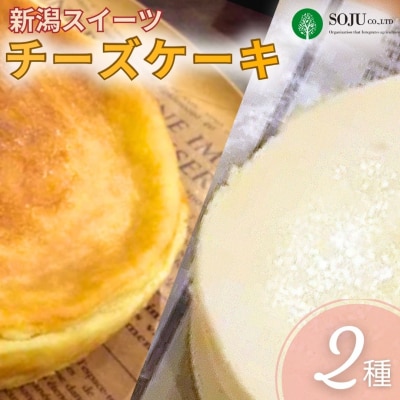 [三条果樹専門家集団] 新潟スイーツ チーズケーキ 2種【018P021】
