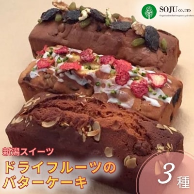 [三条果樹専門家集団] 新潟スイーツ ドライフルーツのバターケーキ 3種【018P049】