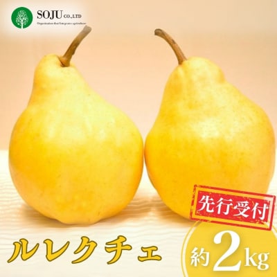 先行受付 ル レクチェ 約2kg 洋梨 JGAP認証農場 新潟県 三条市産 冬限定【016S091】