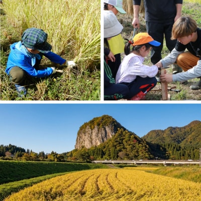 稲刈り体験 2026年 新潟県三条市 下田郷の里山で米づくり体験!【037S059】