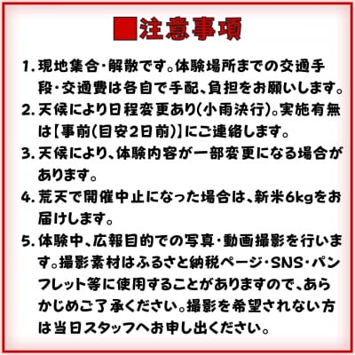 稲刈り体験 2026年 新潟県三条市 下田郷の里山で米づくり体験!【037S059】
