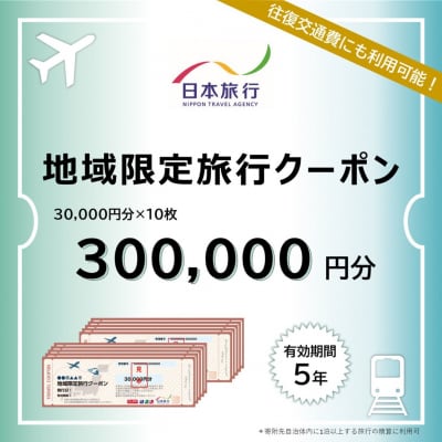 [新潟県三条市] 地域限定旅行クーポン 300,000円分 日本旅行【1000S01】