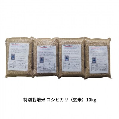 先行予約 特別栽培米 コシヒカリ 玄米 10kg 新潟県産米 令和8年産 【022S093】