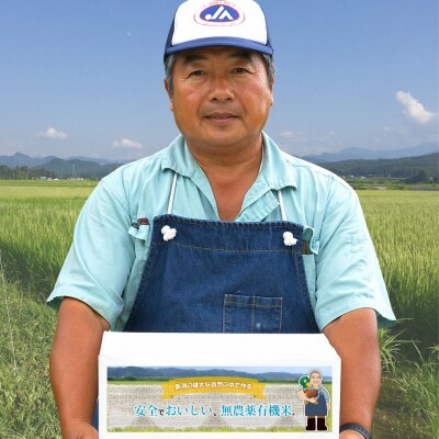 特別栽培米 コシヒカリ 玄米 10kg 新潟県産米 令和7年産 【022S093】