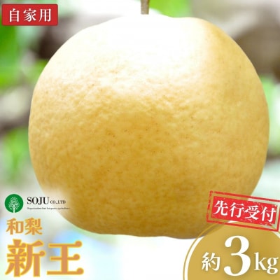先行受付 新潟オリジナル和梨 新王 自家用 約3kg 令和8年度 三条市産 【010S831】