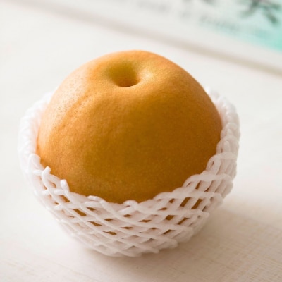 先行受付 新潟オリジナル和梨 新王 自家用 約3kg 令和8年度 三条市産 【010S831】