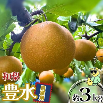 先行受付 豊水 自家用 約3kg 令和8年度 新潟フルーツ 三条ファームWIN 【010S924】