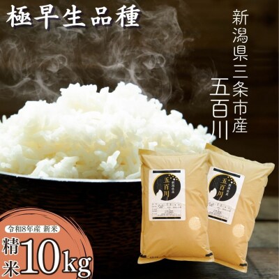 先行受付 極早生 新潟県三条市産五百川 10kg(5kg×2袋) 令和8年産 精米【018S116】