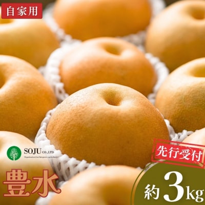 先行受付 和梨 豊水 自家用 約3kg 令和8年度  新潟県産 三条市 梨 【010S963】