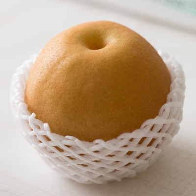 先行受付 和梨 豊水 自家用 約3kg 令和8年度  新潟県産 三条市 梨 【010S963】
