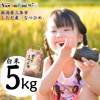 新潟県 三条市 しただ産「なつひめ」 5kg 白米 新米 令和8年 新品種 【010S897】