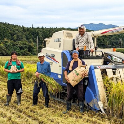 新潟県 三条市 しただ産「なつひめ」 5kg 白米 新米 令和8年 新品種 【010S897】