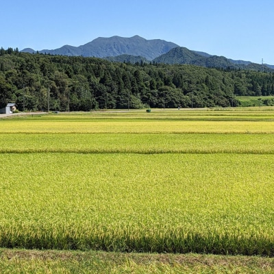 新潟県 三条市 しただ産 「なつひめ」 10kg (5kg×2袋) 白米 令和8年【018S111】