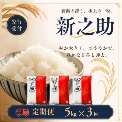 先行受付 定期便 新之助 5kg×3回 新潟県産新之助 令和8年産 しんのすけ 【043S035】
