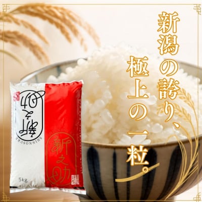 先行受付 定期便 新之助 5kg×3回 新潟県産新之助 令和8年産 しんのすけ 【043S035】