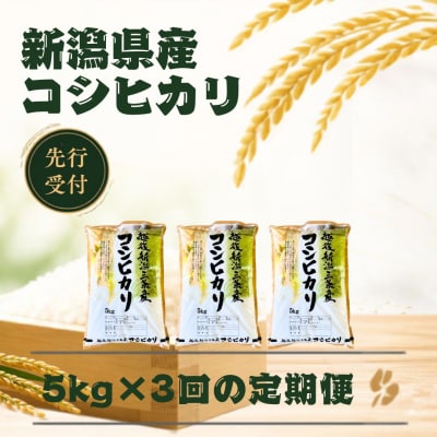 先行受付 定期便 コシヒカリ 5kg×3回 新潟県産コシヒカリ 令和8年産 【039S026】