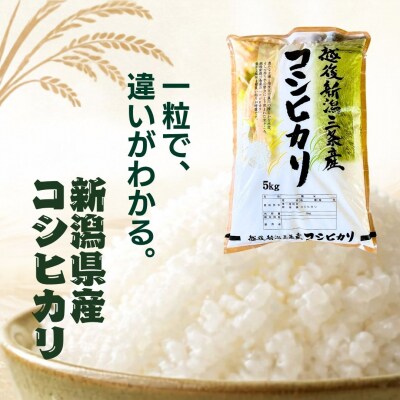 先行受付 定期便 コシヒカリ 5kg×3回 新潟県産コシヒカリ 令和8年産 【039S026】