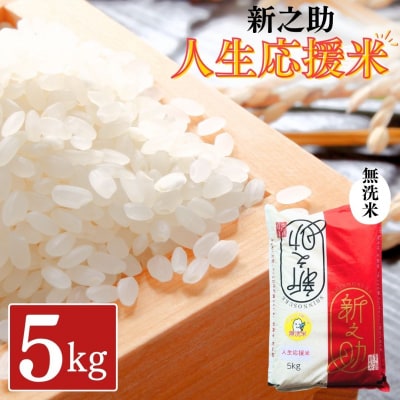 新潟県産 新之助「人生応援米」 無洗米 5kg 令和8年産 しんのすけ 【013S176】