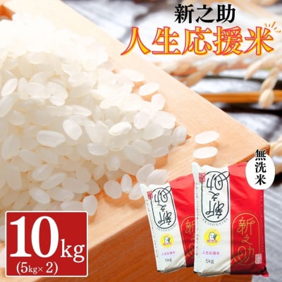 新潟県産 新之助「人生応援米」 無洗米 10kg (5kg×2袋) 令和8年産 【025S097】