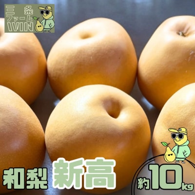 和梨 新高 約10kg 秀品 令和8年度 [三条ファームWIN] 【034S047】