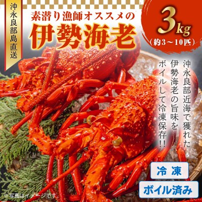 ボイル済み　伊勢エビ冷凍　3キロ