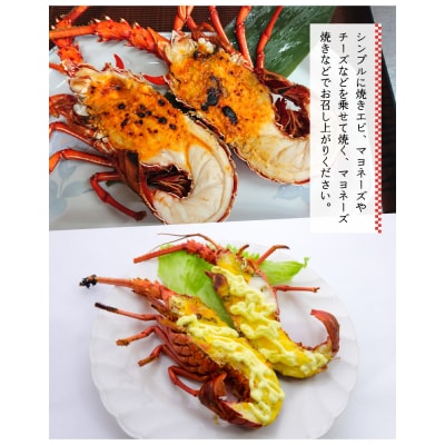 伊勢エビ冷凍　7キロ