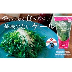 静岡県磐田市,野菜のお礼品・返礼品一覧 | ふるさと納税サイト「さとふる」