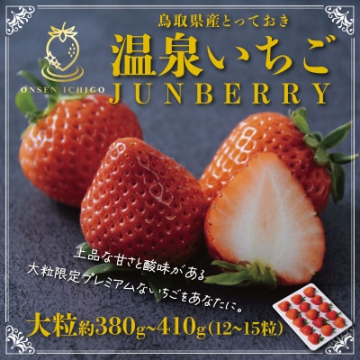 鳥取県産とっておき「温泉いちごJUNBERRY」 | 鳥取県鳥取市