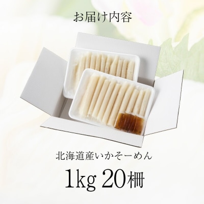 いかそーめん 1kg(10柵 500g ×2)_HD227-001