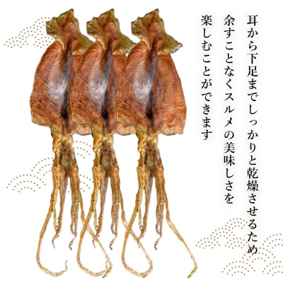 北海道産するめいか10枚セット(1枚40g～50g)_HD231-003
