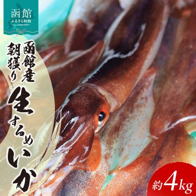 函館産朝獲り生するめいか_HD010-007