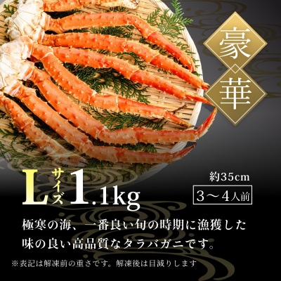  Lサイズ たらば がに 脚 1.1kg (2～3肩)_HD065-005