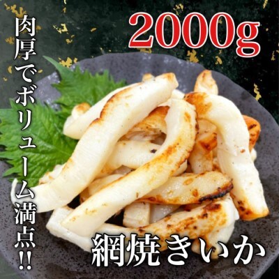 道水 網焼きいか 2kg(1kg×2袋)[24895026]