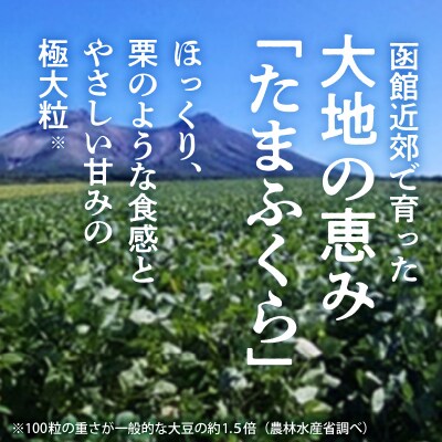 函館たまふくら納豆　(45g×2)×15個入_HD110-001