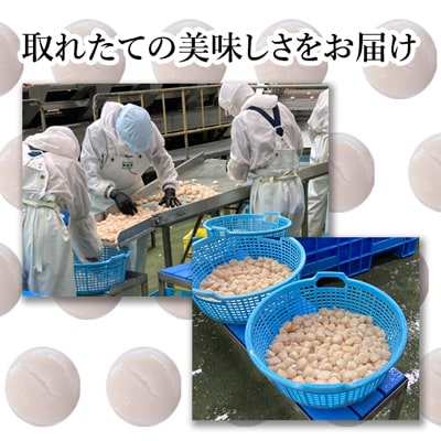 オホーツク産ほたて1kg_HD117-001