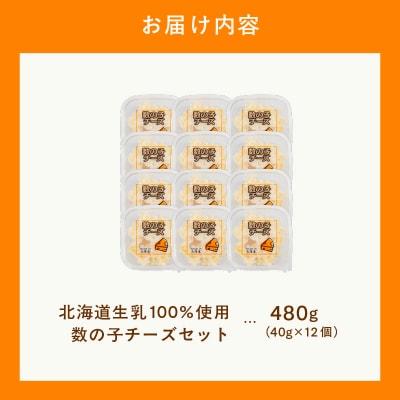 北海道生乳100%使用数の子チーズセット(40g×12個)_HD109-004