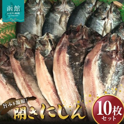 開きにしん　10枚セット　「函館山﨑水産」_HD061-008