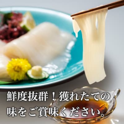 道水 真いかお造りジャングル1kg いか刺身 いかそうめん_HD108-012 