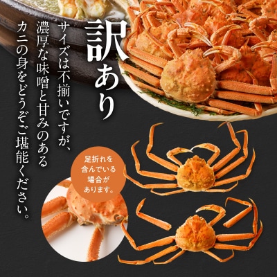 訳あり!ボイルオオズワイガニ3キロ_HD088-007