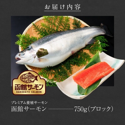 【2026年7月発送　先行予約】函館サーモン(750g)_HD231-013