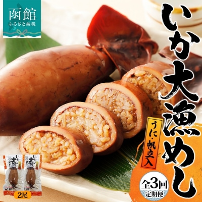 【定期便】4カ月に1回定期便　いか大漁めし2尾入りセット_HD152-T001