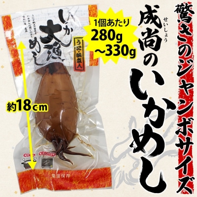 【定期便】4カ月に1回定期便　いか大漁めし2尾入りセット_HD152-T001