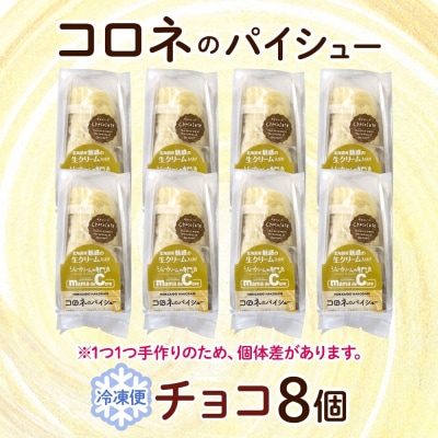 北海道 コロネ パイシュー チョコ 8個_HD153-004