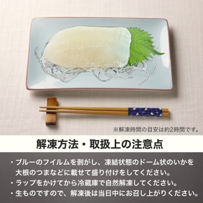 【道水】お刺身いかそうめん(業務用)約550g　いか耳塩辛110g付き_HD108-021