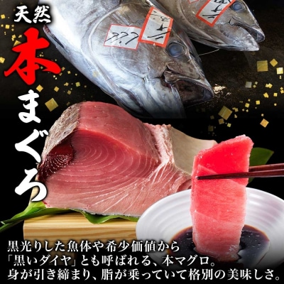 戸井産 本マグロ 大トロ 約80g_HD144-003