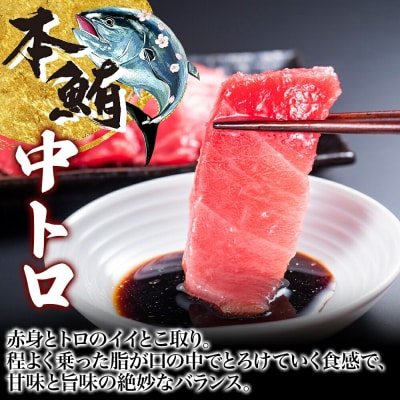 松前産 本マグロ 中トロ 約160g_HD144-005