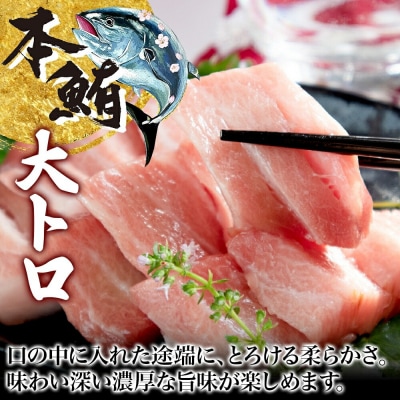 松前産 本マグロ 大トロ 約80g_HD144-006