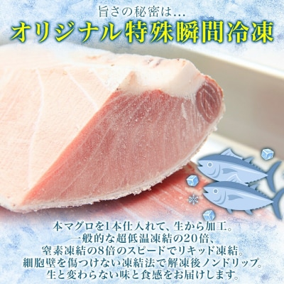 松前産 本マグロ 大トロ 約80g_HD144-006