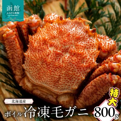 北海道産　ボイル冷凍毛ガニ　特大　800g_HD149-007